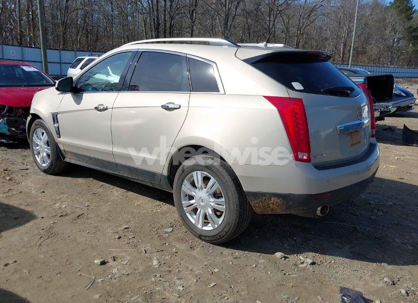 Photo 3 of 2012 Cadillac Srx LUXURY COLLECTION (VIN 3GYFNAE35CS619639)