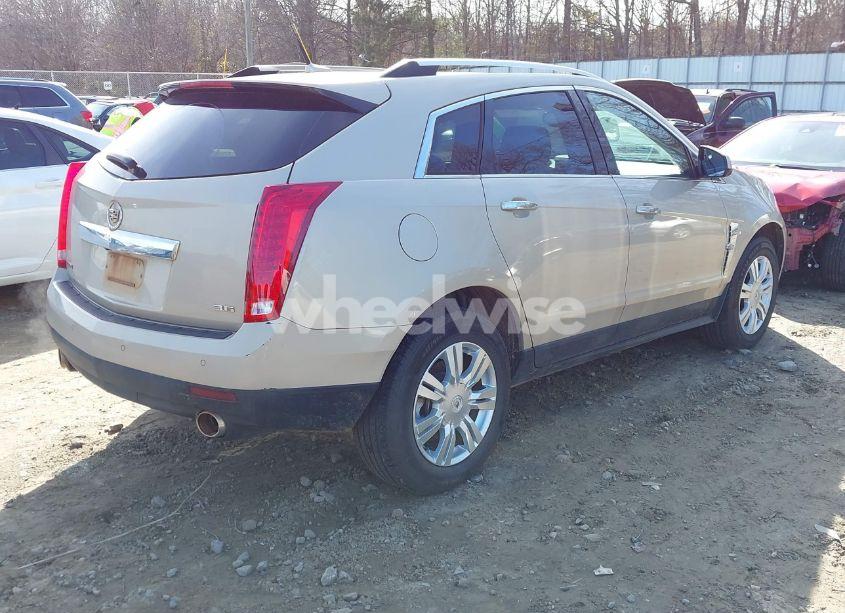 Photo 4 of 2012 Cadillac Srx LUXURY COLLECTION (VIN 3GYFNAE35CS619639)