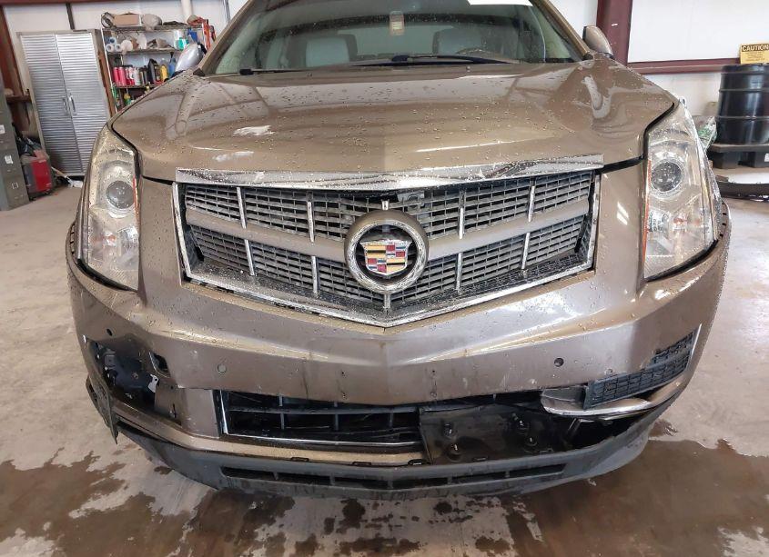 Photo 13 of 2012 Cadillac Srx LUXURY COLLECTION (VIN 3GYFNAE39CS543181)