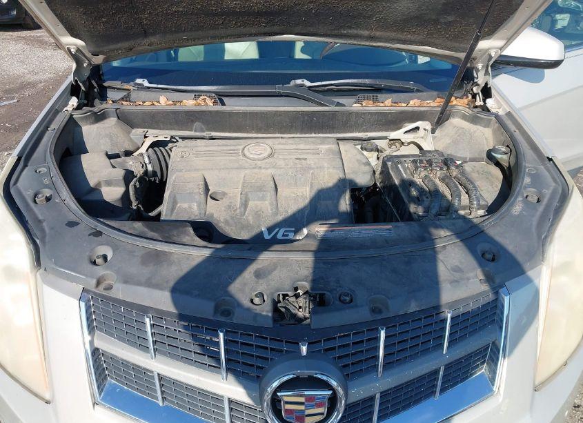 Photo 10 of 2012 Cadillac Srx LUXURY COLLECTION (VIN 3GYFNAE3XCS503398)