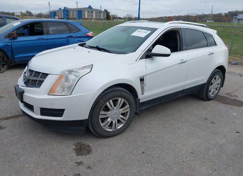 Photo 2 of 2012 Cadillac Srx LUXURY COLLECTION (VIN 3GYFNAE3XCS529175)