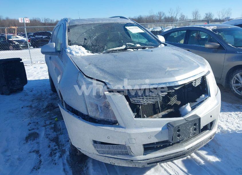 2012 Cadillac Srx LUXURY COLLECTION (VIN 3GYFNAE3XCS576464) main photo