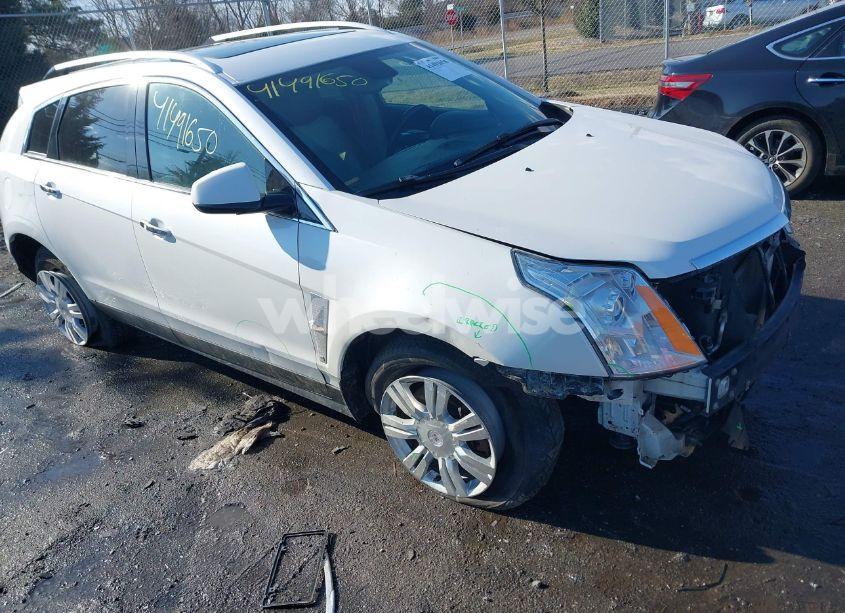 2011 Cadillac Srx LUXURY COLLECTION (VIN 3GYFNAEY0BS508989) main photo