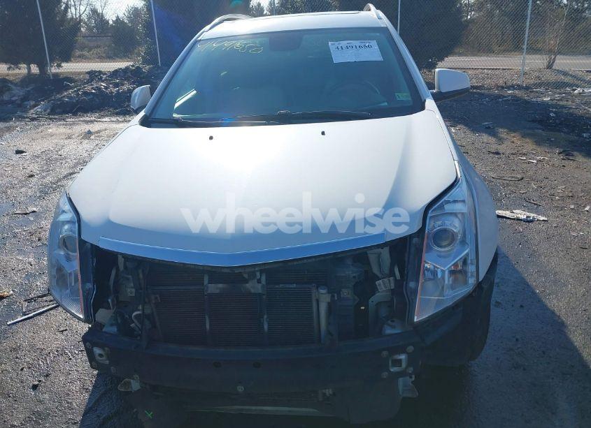 Photo 12 of 2011 Cadillac Srx LUXURY COLLECTION (VIN 3GYFNAEY0BS508989)