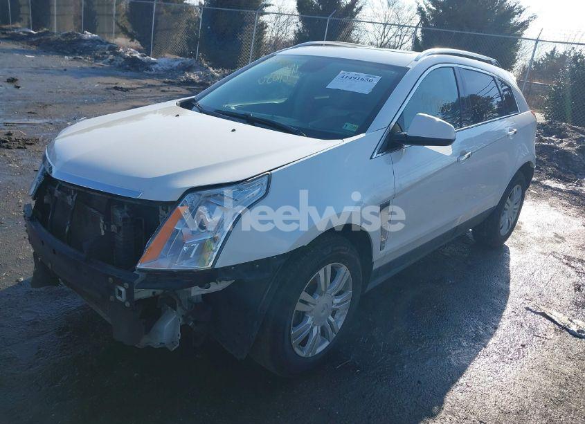 Photo 2 of 2011 Cadillac Srx LUXURY COLLECTION (VIN 3GYFNAEY0BS508989)