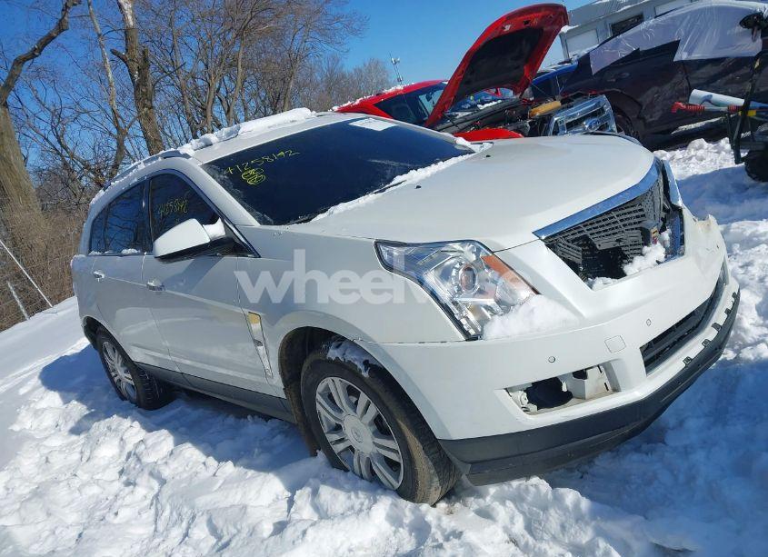 2011 Cadillac Srx LUXURY COLLECTION (VIN 3GYFNAEY0BS551860) main photo
