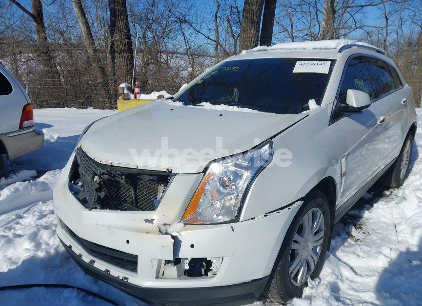 Photo 6 of 2011 Cadillac Srx LUXURY COLLECTION (VIN 3GYFNAEY0BS551860)