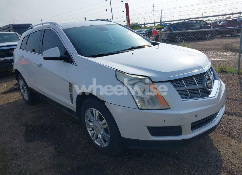 2011 Cadillac Srx LUXURY COLLECTION (VIN 3GYFNAEY0BS560204) main photo