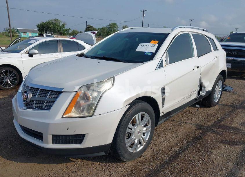 Photo 6 of 2011 Cadillac Srx LUXURY COLLECTION (VIN 3GYFNAEY0BS560204)