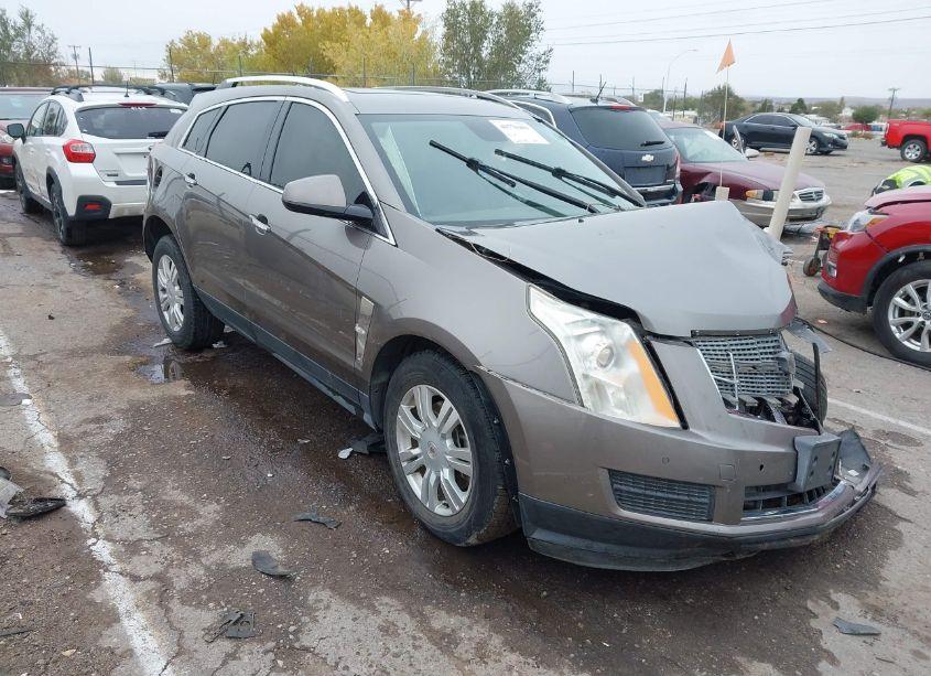 2011 Cadillac Srx LUXURY COLLECTION (VIN 3GYFNAEY0BS576855) main photo
