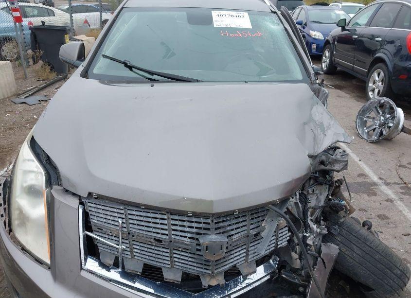 Photo 10 of 2011 Cadillac Srx LUXURY COLLECTION (VIN 3GYFNAEY0BS576855)