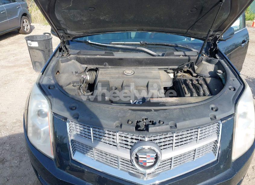 Photo 10 of 2011 Cadillac Srx LUXURY COLLECTION (VIN 3GYFNAEY0BS613693)