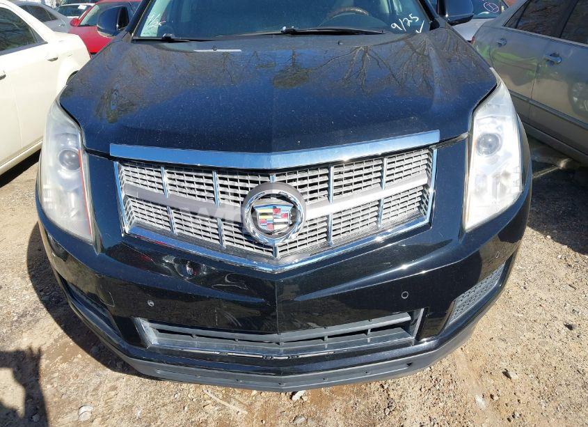 Photo 6 of 2010 Cadillac Srx LUXURY COLLECTION (VIN 3GYFNAEY1AS652792)