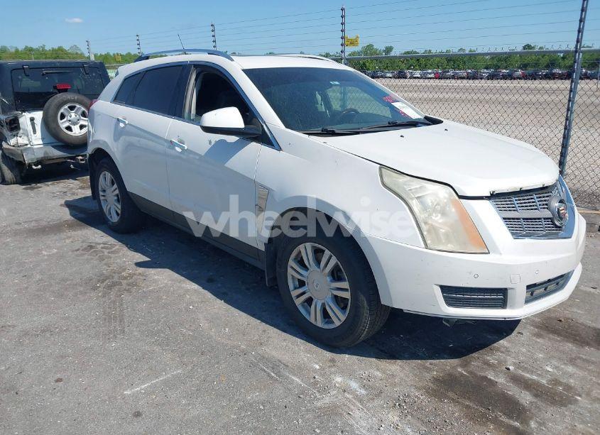 2011 Cadillac Srx LUXURY COLLECTION (VIN 3GYFNAEY1BS510962) main photo