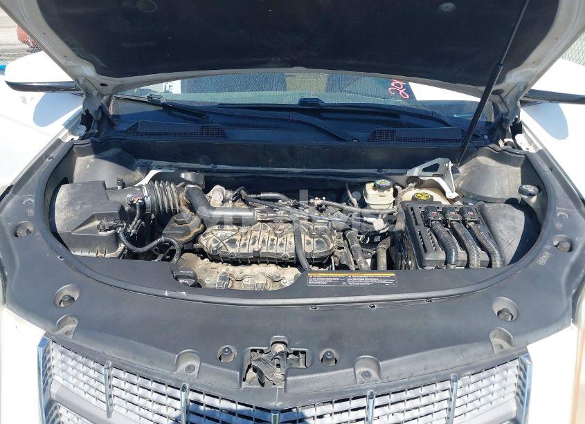 Photo 10 of 2011 Cadillac Srx LUXURY COLLECTION (VIN 3GYFNAEY1BS510962)