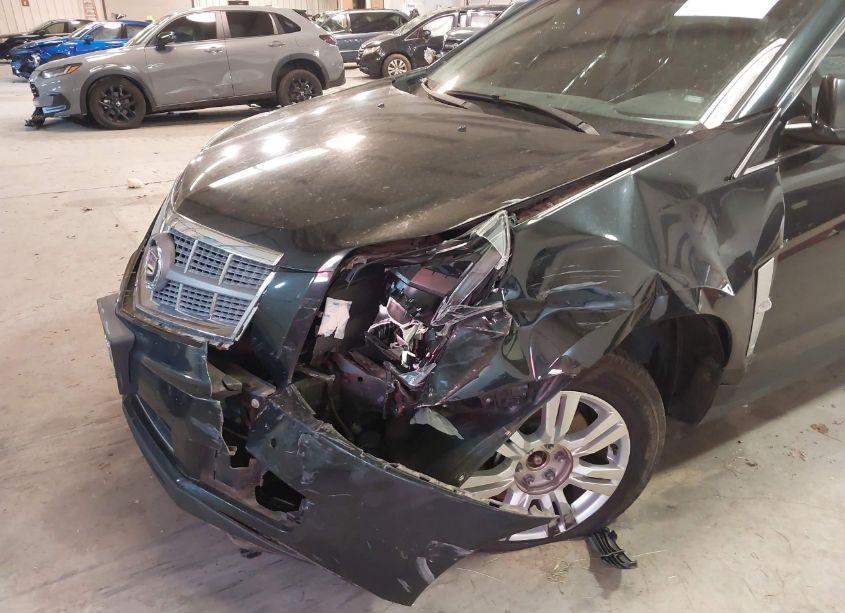 Photo 12 of 2011 Cadillac Srx LUXURY COLLECTION (VIN 3GYFNAEY1BS513151)