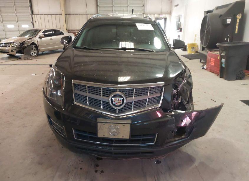Photo 13 of 2011 Cadillac Srx LUXURY COLLECTION (VIN 3GYFNAEY1BS513151)
