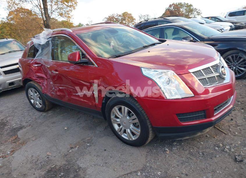 2011 Cadillac Srx LUXURY COLLECTION (VIN 3GYFNAEY1BS637162) main photo