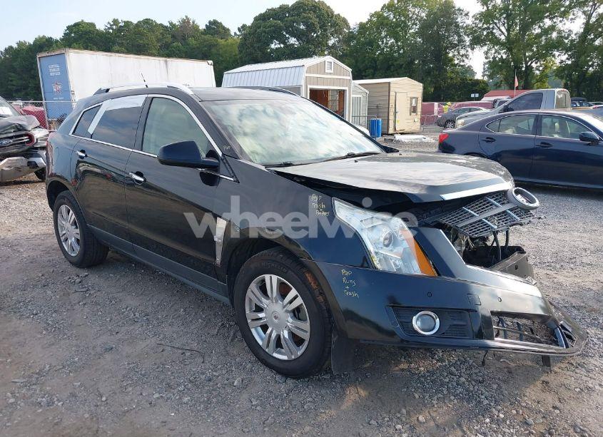 2011 Cadillac Srx LUXURY COLLECTION (VIN 3GYFNAEY1BS643382) main photo