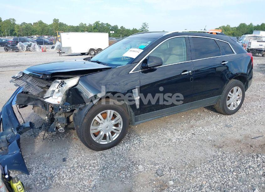 Photo 2 of 2011 Cadillac Srx LUXURY COLLECTION (VIN 3GYFNAEY1BS643382)