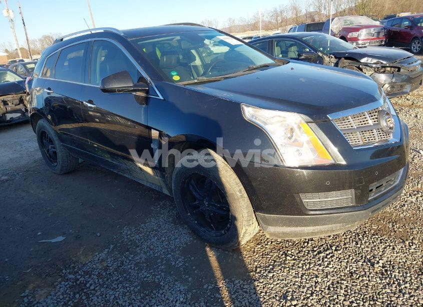 2011 Cadillac Srx LUXURY COLLECTION (VIN 3GYFNAEY1BS678942) main photo