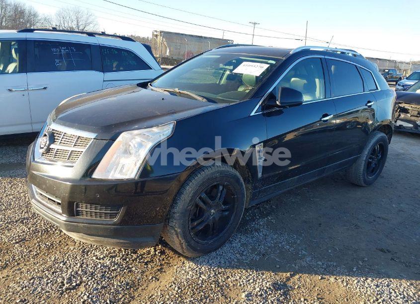 Photo 2 of 2011 Cadillac Srx LUXURY COLLECTION (VIN 3GYFNAEY1BS678942)