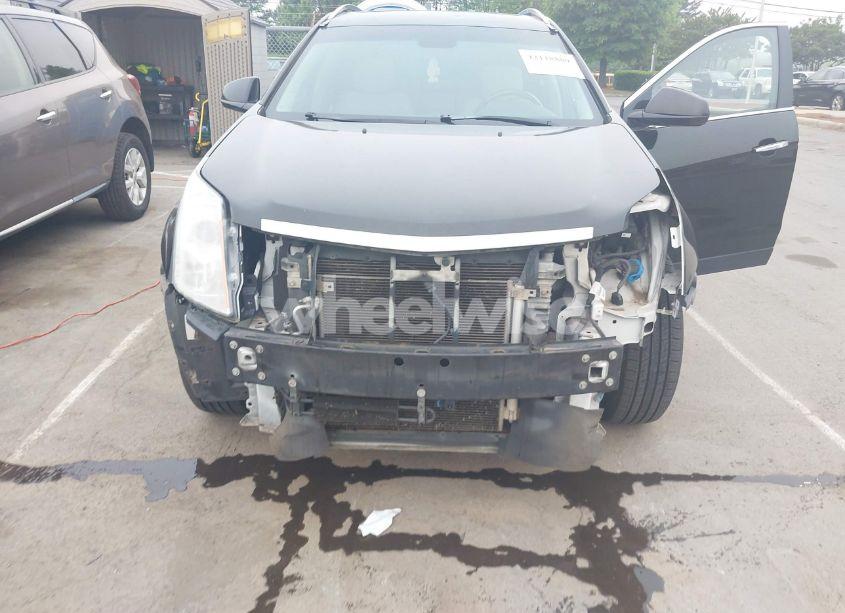 Photo 6 of 2011 Cadillac Srx LUXURY COLLECTION (VIN 3GYFNAEY2BS555800)