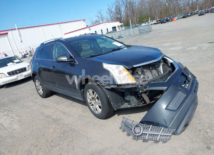 2011 Cadillac Srx LUXURY COLLECTION (VIN 3GYFNAEY2BS598856) main photo