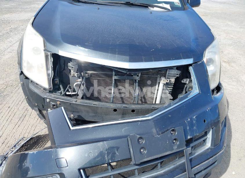 Photo 10 of 2011 Cadillac Srx LUXURY COLLECTION (VIN 3GYFNAEY2BS598856)