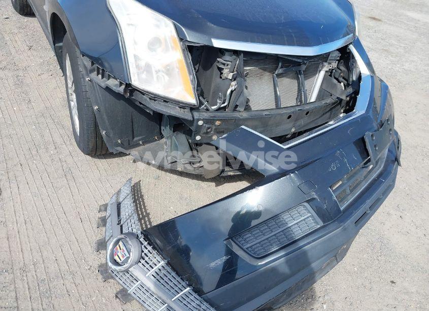 Photo 6 of 2011 Cadillac Srx LUXURY COLLECTION (VIN 3GYFNAEY2BS598856)