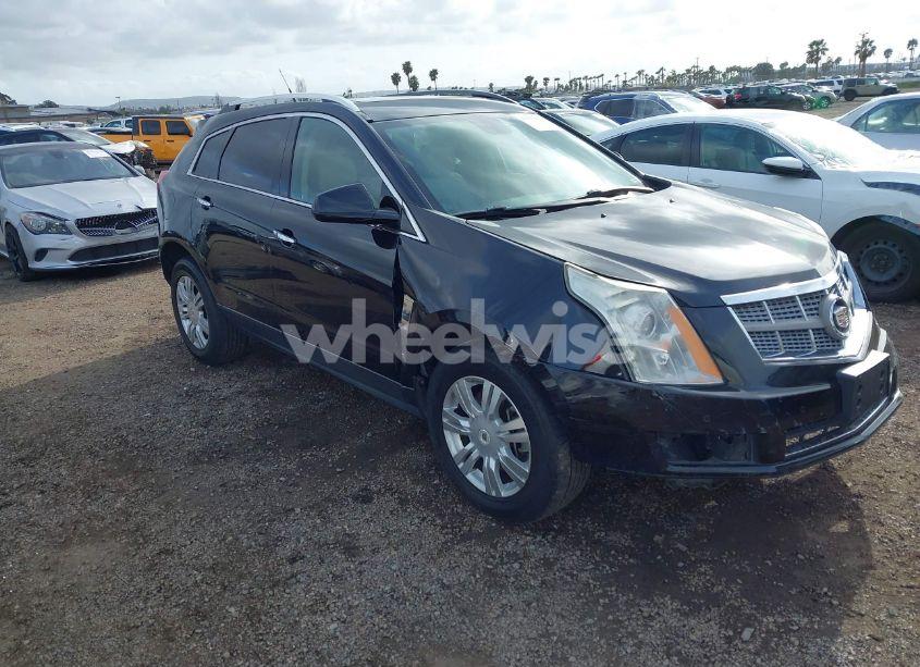 2011 Cadillac Srx LUXURY COLLECTION (VIN 3GYFNAEY2BS658473) main photo