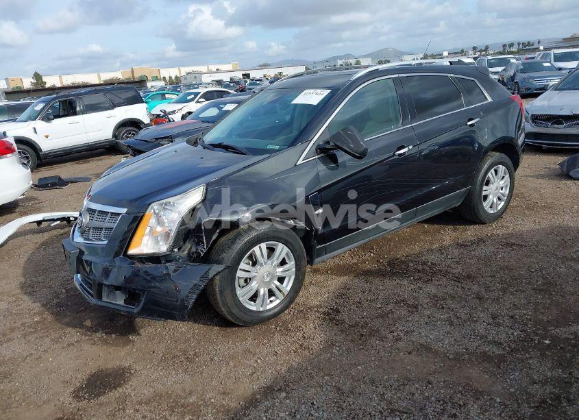 Photo 2 of 2011 Cadillac Srx LUXURY COLLECTION (VIN 3GYFNAEY2BS658473)