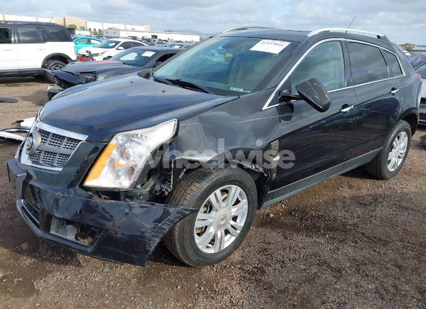 Photo 6 of 2011 Cadillac Srx LUXURY COLLECTION (VIN 3GYFNAEY2BS658473)