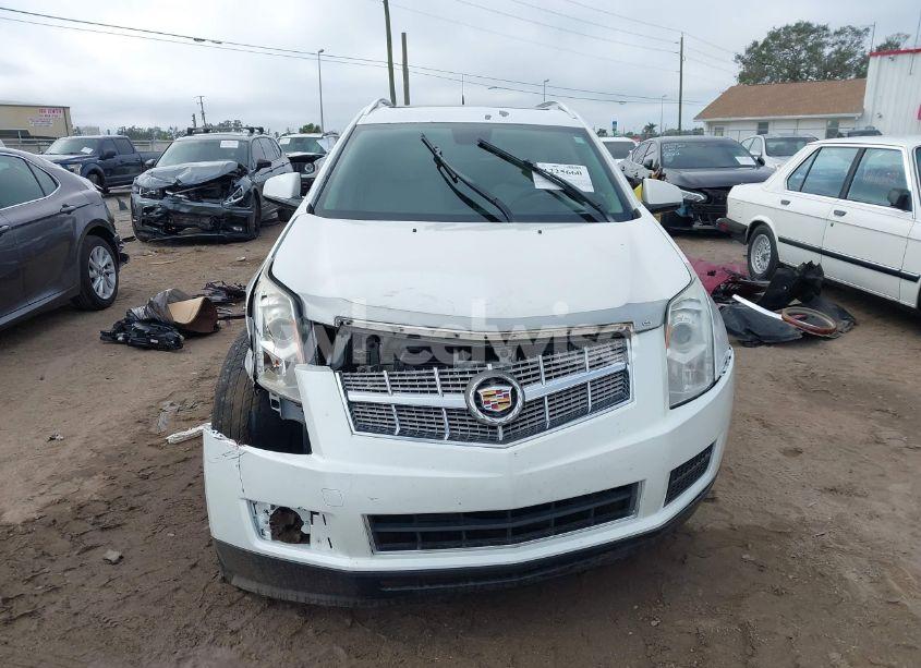 Photo 12 of 2010 Cadillac Srx LUXURY COLLECTION (VIN 3GYFNAEY3AS589811)