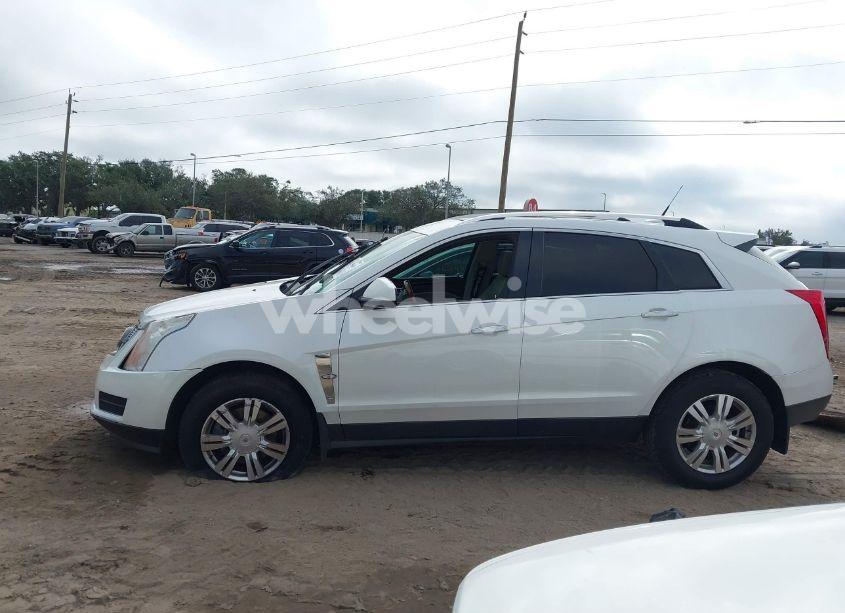 Photo 14 of 2010 Cadillac Srx LUXURY COLLECTION (VIN 3GYFNAEY3AS589811)