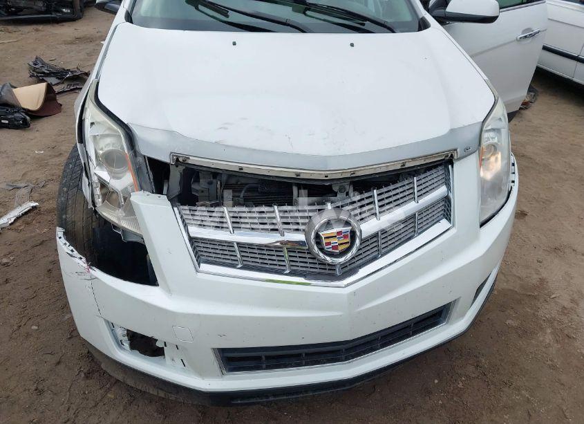 Photo 6 of 2010 Cadillac Srx LUXURY COLLECTION (VIN 3GYFNAEY3AS589811)