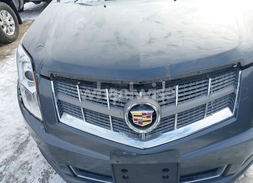 Photo 14 of 2010 Cadillac Srx LUXURY COLLECTION (VIN 3GYFNAEY3AS637162)