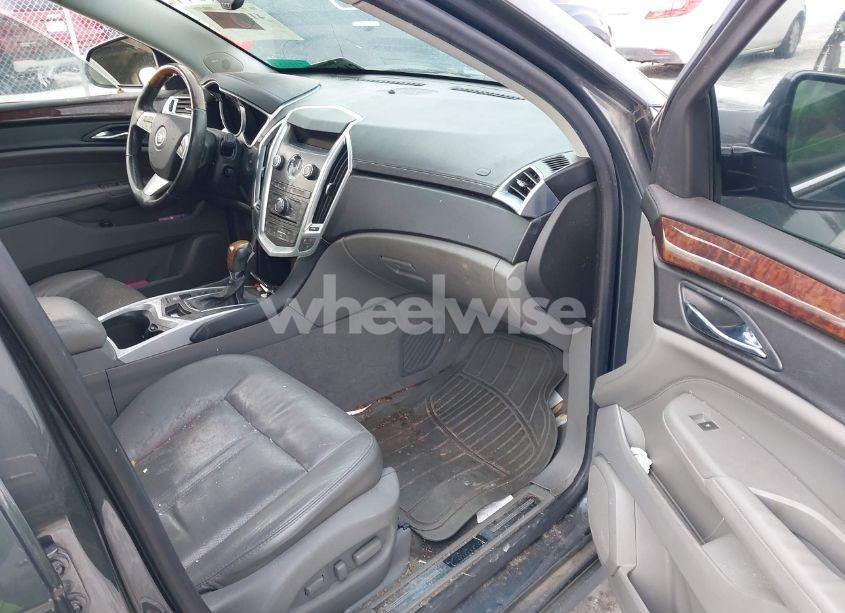 Photo 5 of 2010 Cadillac Srx LUXURY COLLECTION (VIN 3GYFNAEY3AS637162)