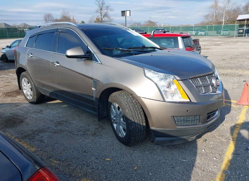 2011 Cadillac Srx LUXURY COLLECTION (VIN 3GYFNAEY3BS579975) main photo