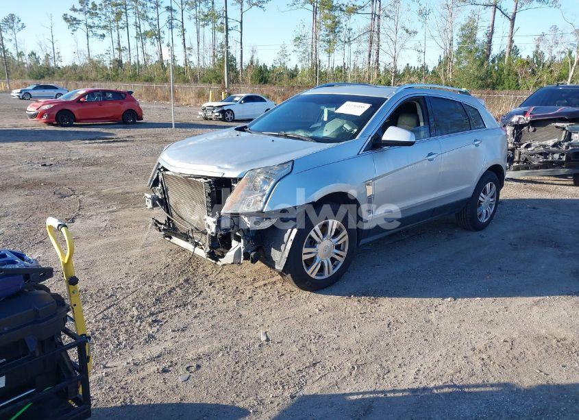 Photo 2 of 2011 Cadillac Srx LUXURY COLLECTION (VIN 3GYFNAEY3BS631248)