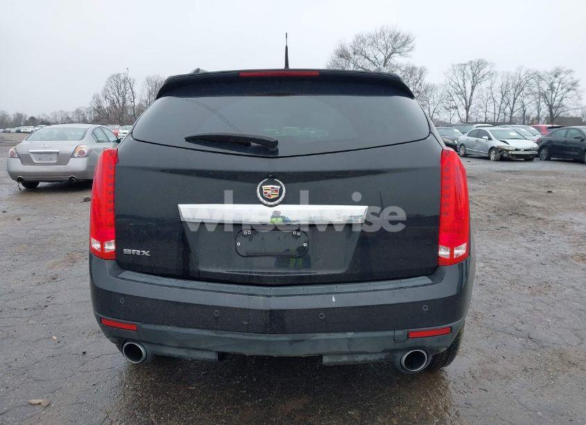 Photo 12 of 2011 Cadillac Srx LUXURY COLLECTION (VIN 3GYFNAEY3BS677470)