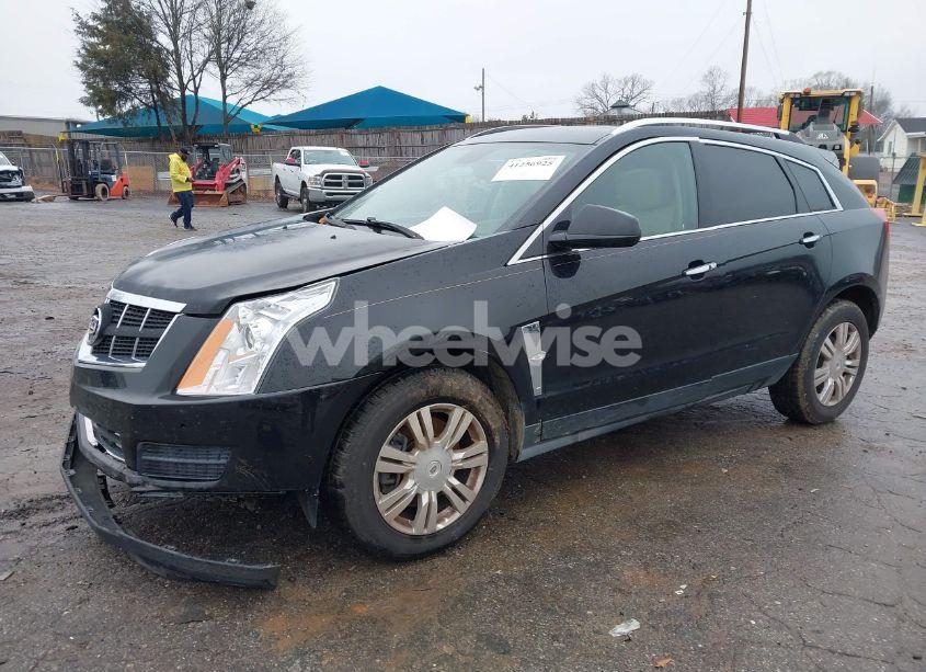 Photo 2 of 2011 Cadillac Srx LUXURY COLLECTION (VIN 3GYFNAEY3BS677470)