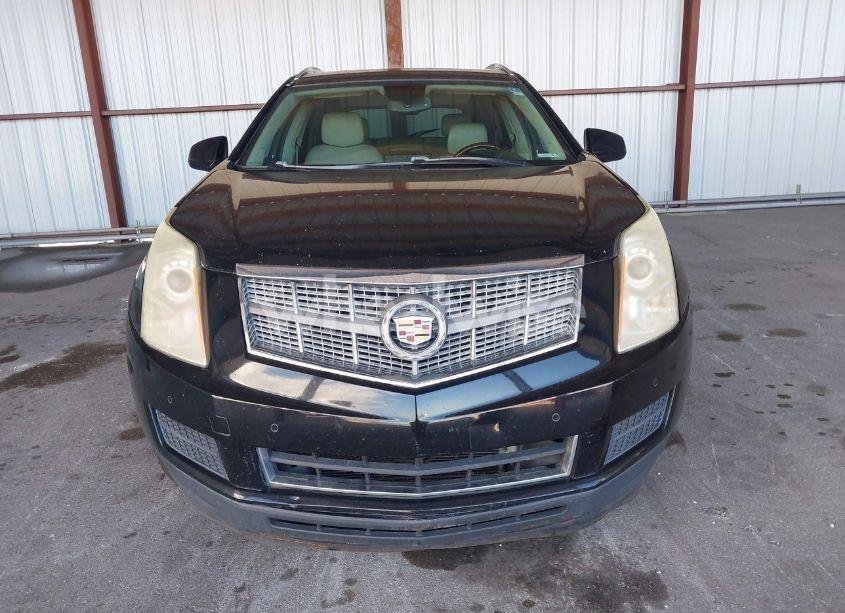 Photo 6 of 2011 Cadillac Srx LUXURY COLLECTION (VIN 3GYFNAEY4BS543843)