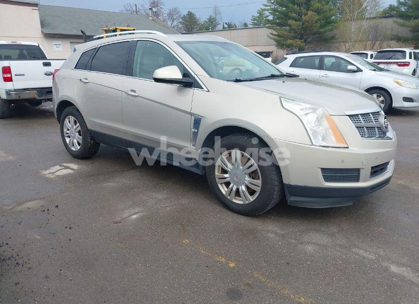 2011 Cadillac Srx LUXURY COLLECTION (VIN 3GYFNAEY4BS663447) main photo