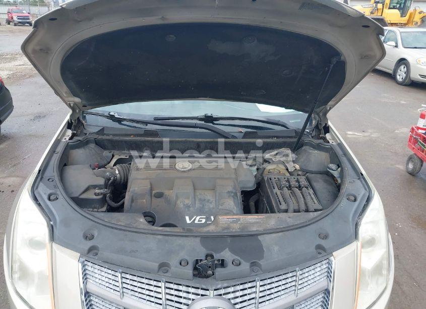 Photo 10 of 2011 Cadillac Srx LUXURY COLLECTION (VIN 3GYFNAEY4BS663447)