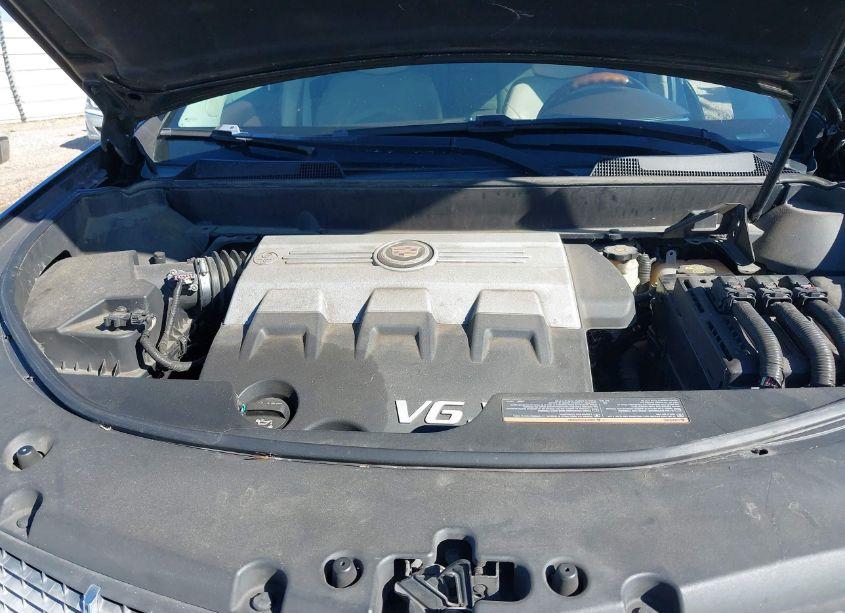 Photo 10 of 2010 Cadillac Srx LUXURY COLLECTION (VIN 3GYFNAEY5AS565154)