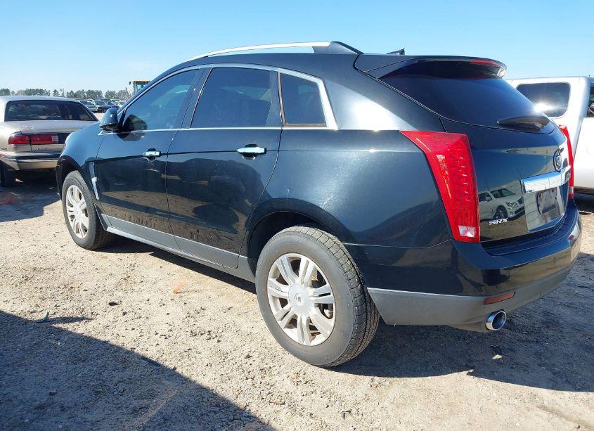 Photo 3 of 2010 Cadillac Srx LUXURY COLLECTION (VIN 3GYFNAEY5AS565154)