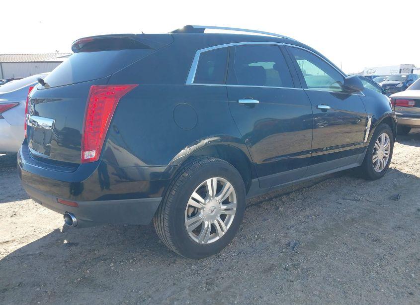 Photo 4 of 2010 Cadillac Srx LUXURY COLLECTION (VIN 3GYFNAEY5AS565154)