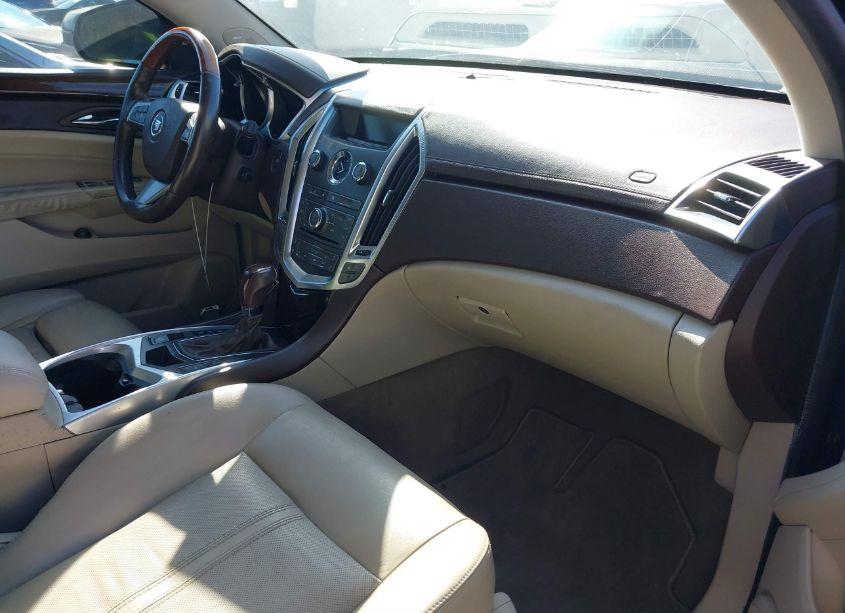 Photo 5 of 2010 Cadillac Srx LUXURY COLLECTION (VIN 3GYFNAEY5AS565154)