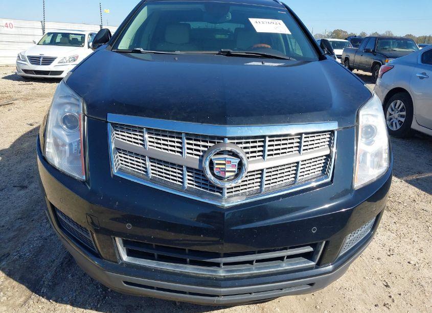 Photo 6 of 2010 Cadillac Srx LUXURY COLLECTION (VIN 3GYFNAEY5AS565154)